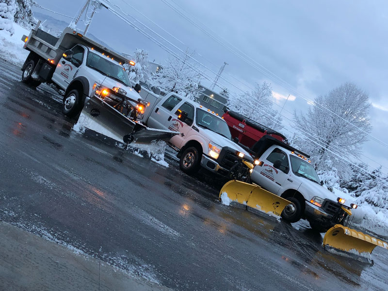 Row of 3 trucks with snowplows